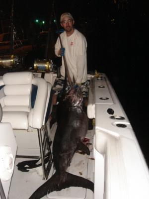 225- 250 pound Swordfish.